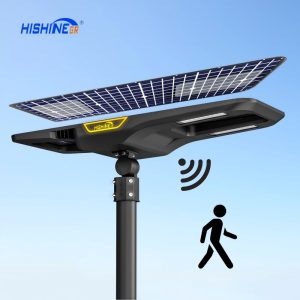 Solar Street Light