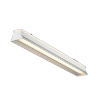 Linear Strip Lighting