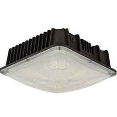 LED Garage Canopy Light